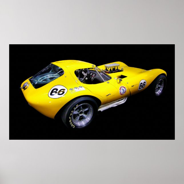 Cheetah!. Poster (Front)