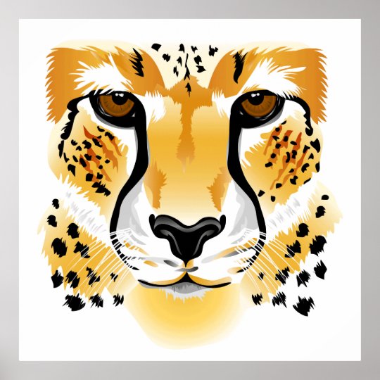 Cheetah poster | Zazzle.com