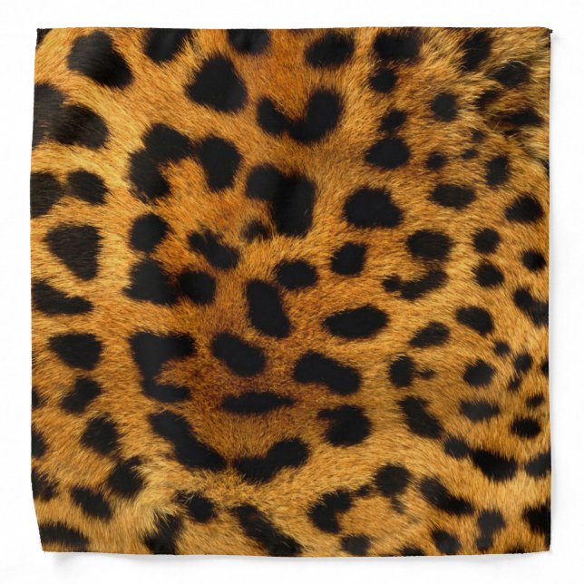 Cheetah Print/Bandana Bandana (Front)