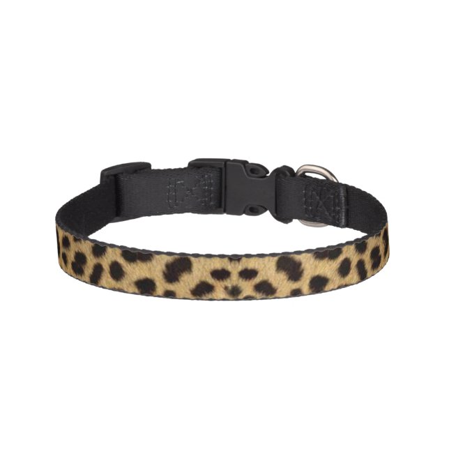 Cheetah Print Pet Collar (Front)