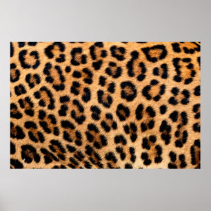 Cheetah print texture