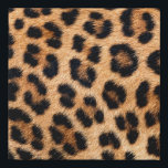 Cheetah print texture<br><div class="desc">Cheetah print texture</div>