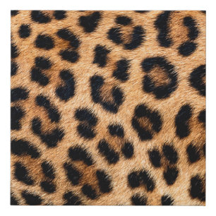Cheetah print texture