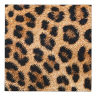Cheetah print texture