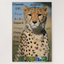 Cheetah puzzle, in different languages.