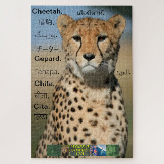 Cheetah puzzle, in different languages. jigsaw puzzle