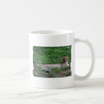 Cheetah Resting Coffee Mug