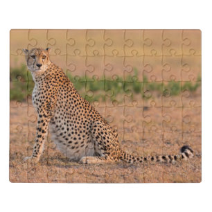 Cheetah Resting in Early Morning Jigsaw Puzzle