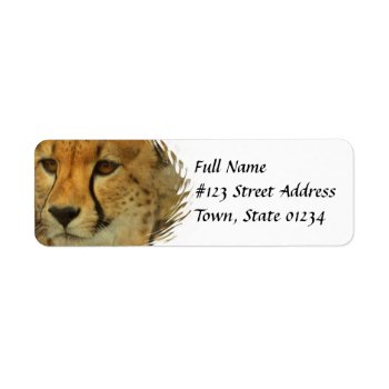 Cheetah Return Address Mailing Label by WildlifeAnimals at Zazzle