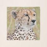 Cheetah Scarf<br><div class="desc">Relaxed cheetah. This image was taken on a safari in Kenya,  Masai Mara Game Reserve. © Angelika Stern</div>