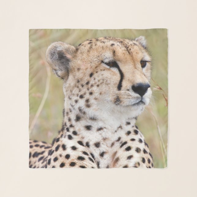 Cheetah Scarf (Front)