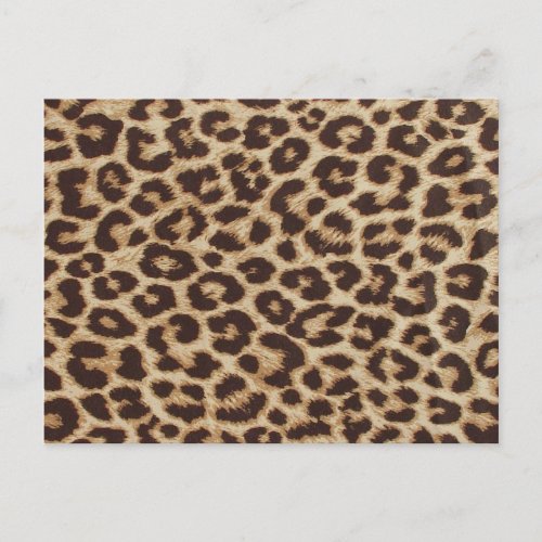 Cheetah Skin Print Postcard