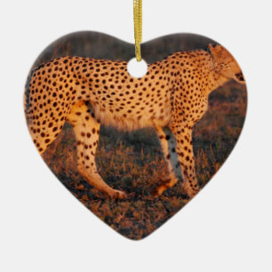 Cheetah South Africa at Sunset Ceramic Ornament
