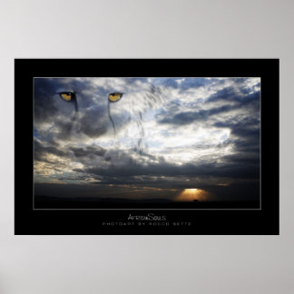 Cheetah Spirit Poster