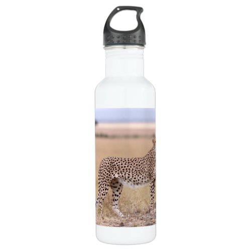 Cheetah Stainless Steel Water Bottle