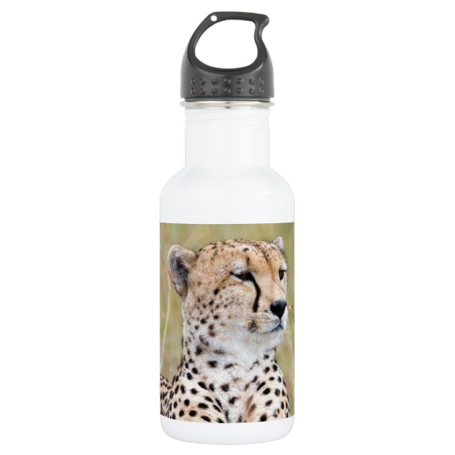 Cheetah Stainless Steel Water Bottle (Front)