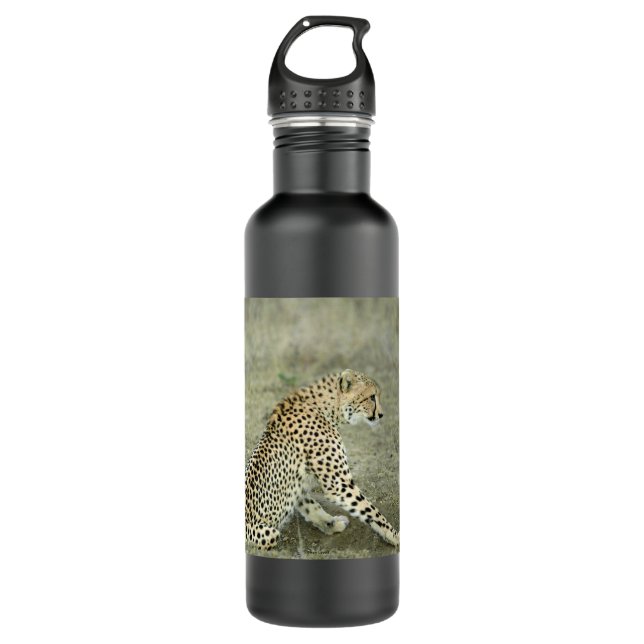 CHEETAH STAINLESS STEEL WATER BOTTLE (Front)