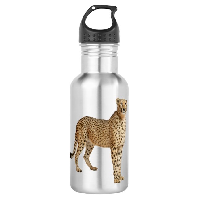 Cheetah Stainless Steel Water Bottle (Front)