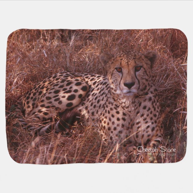 Cheetah Stare Baby Blanket (Horizontal)