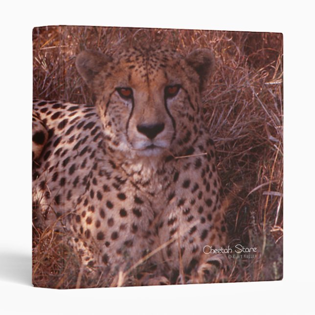 Cheetah Stare Binder (Front/Spine)
