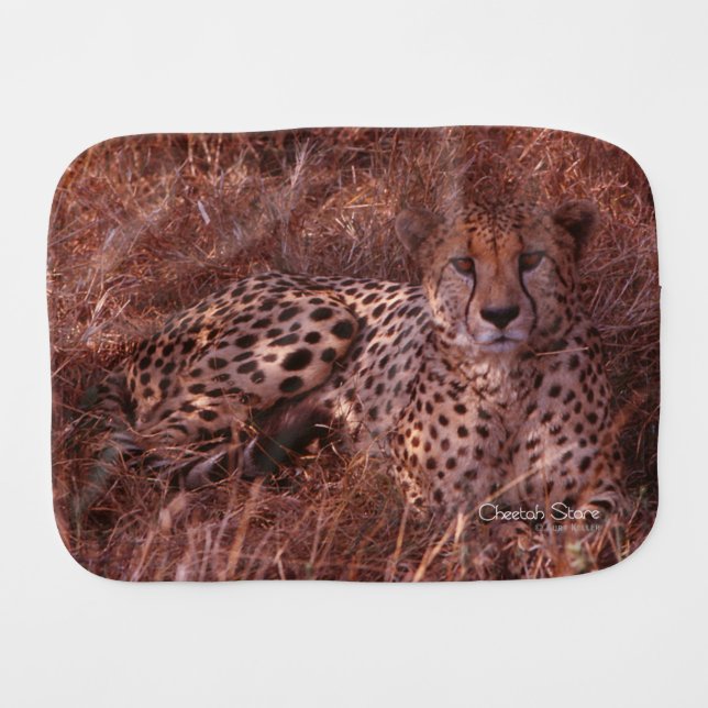 Cheetah Stare Burp Cloth (Front Horizontal)