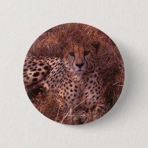 Cheetah Stare Button