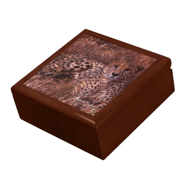 Cheetah Stare Gift Box (Side)