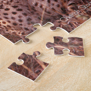 Cheetah Stare Jigsaw Puzzle