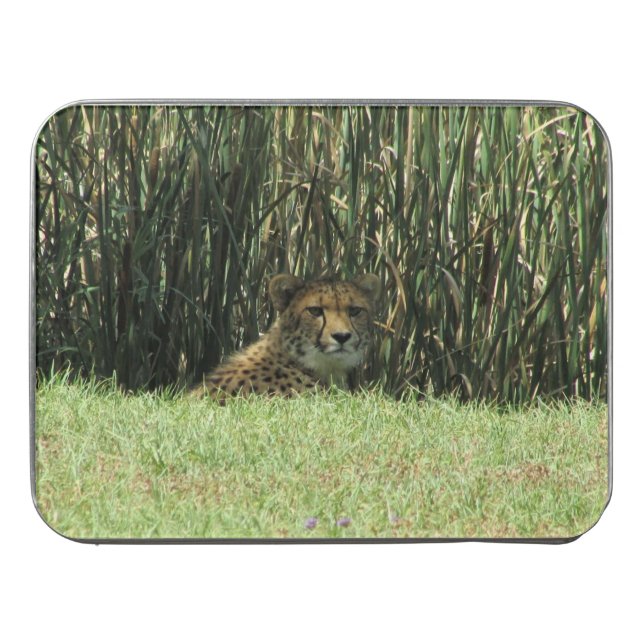 cheetah stare jigsaw puzzle (Case Horizontal)