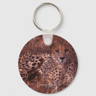 Cheetah Stare Keychain