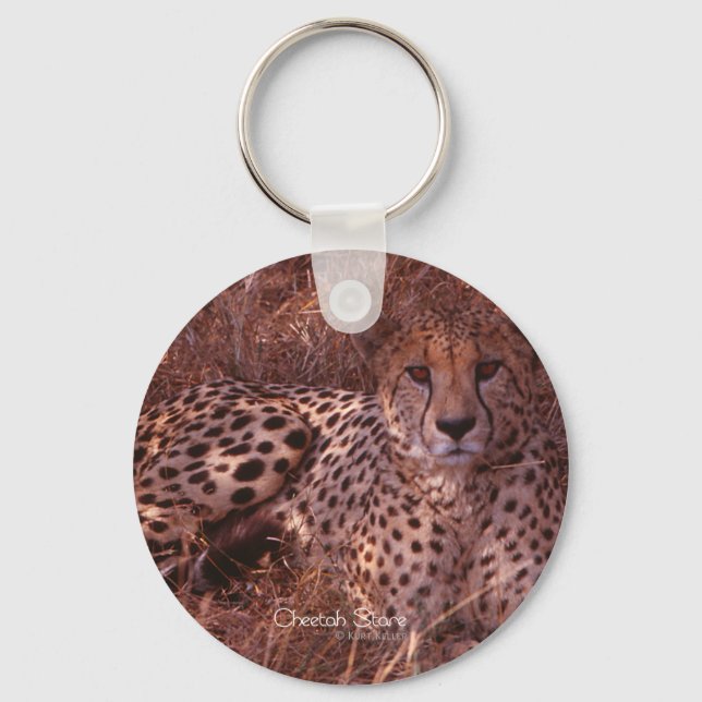 Cheetah Stare Keychain (Front)