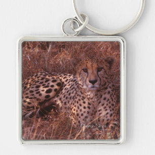 Cheetah Stare Keychain
