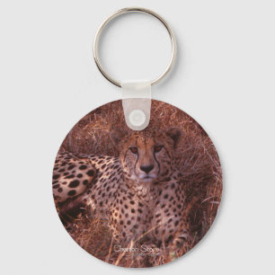 Cheetah Stare Keychain