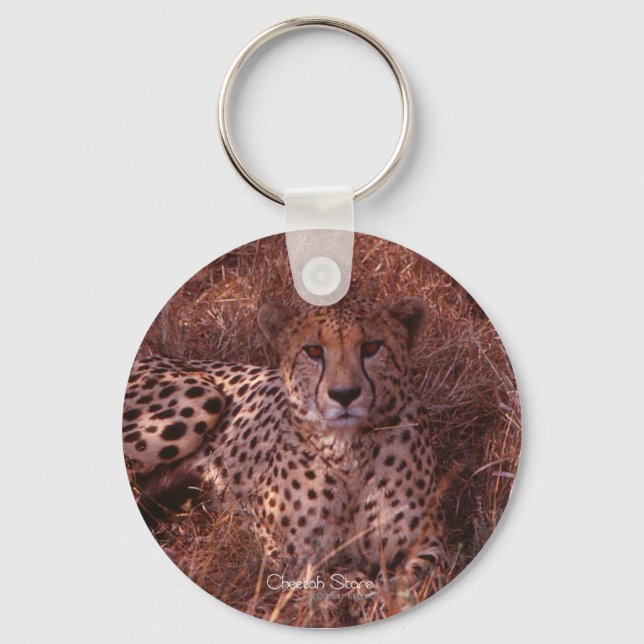 Cheetah Stare Keychain (Front)