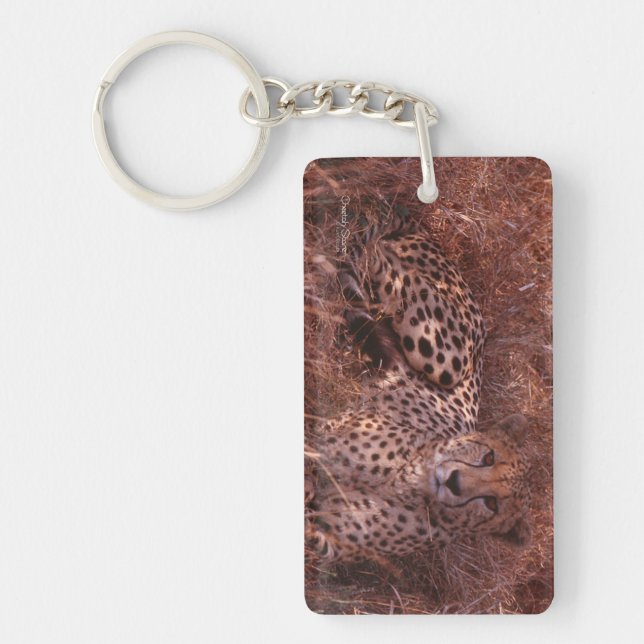 Cheetah Stare Keychain (Front)
