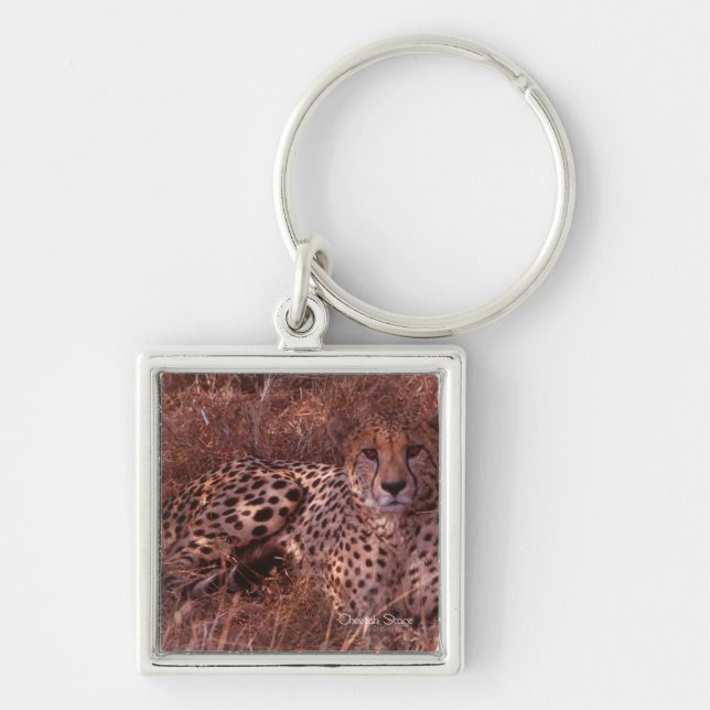 Cheetah Stare Keychain (Front)