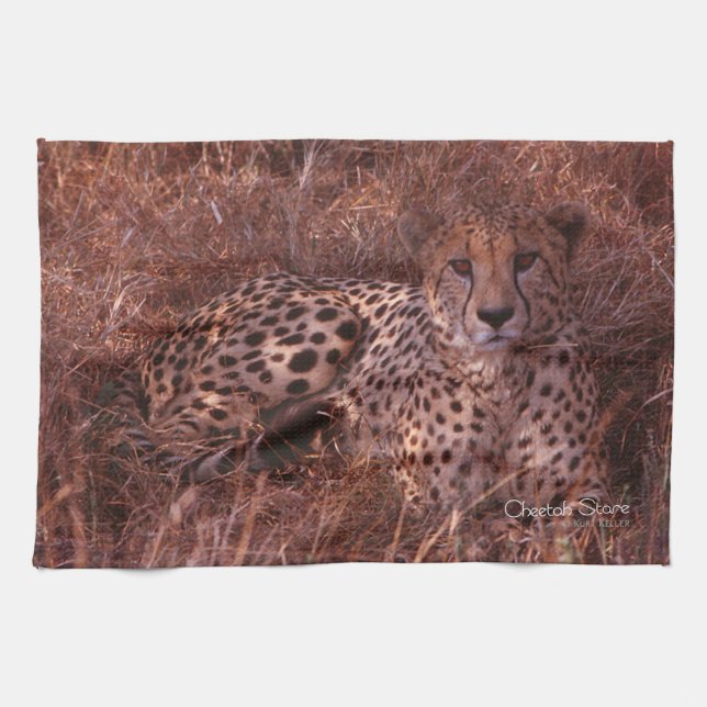 Cheetah Stare Kitchen Towel (Horizontal)