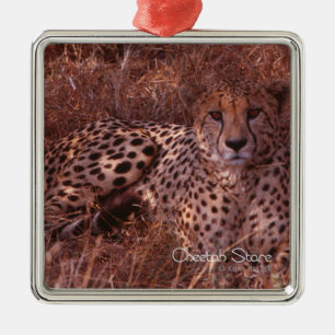 Cheetah Stare Metal Ornament