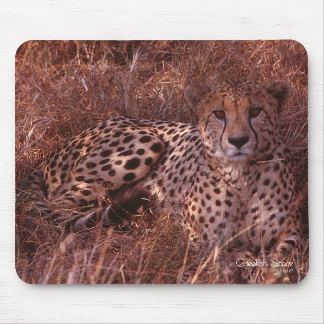 Cheetah Stare Mouse Pad (Front)