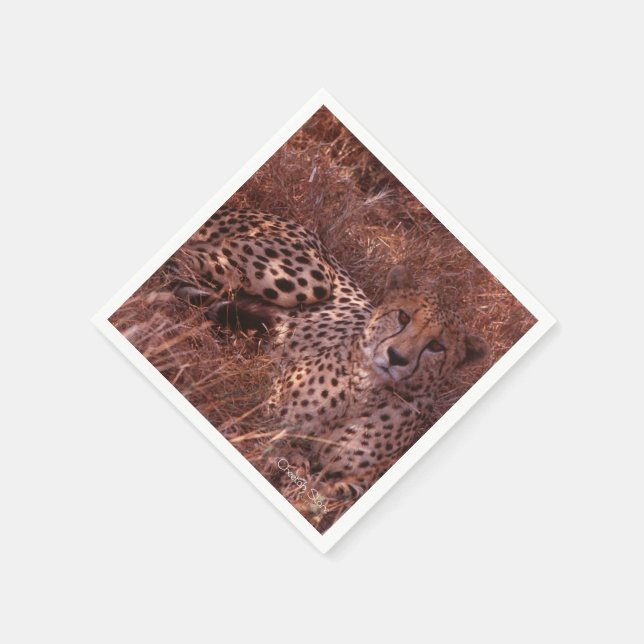 Cheetah Stare Paper Napkins (Corner)
