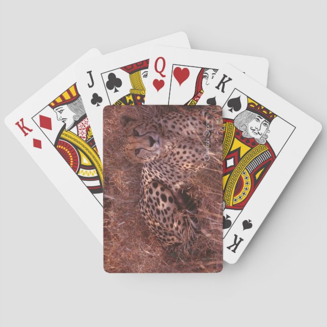 Cheetah Stare Poker Cards (Back)