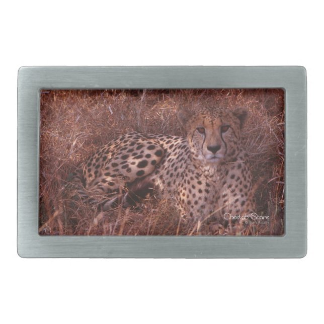 Cheetah Stare Rectangular Belt Buckle (Front)
