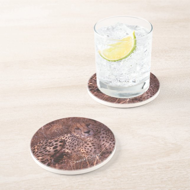 Cheetah Stare Sandstone Coaster (Side)
