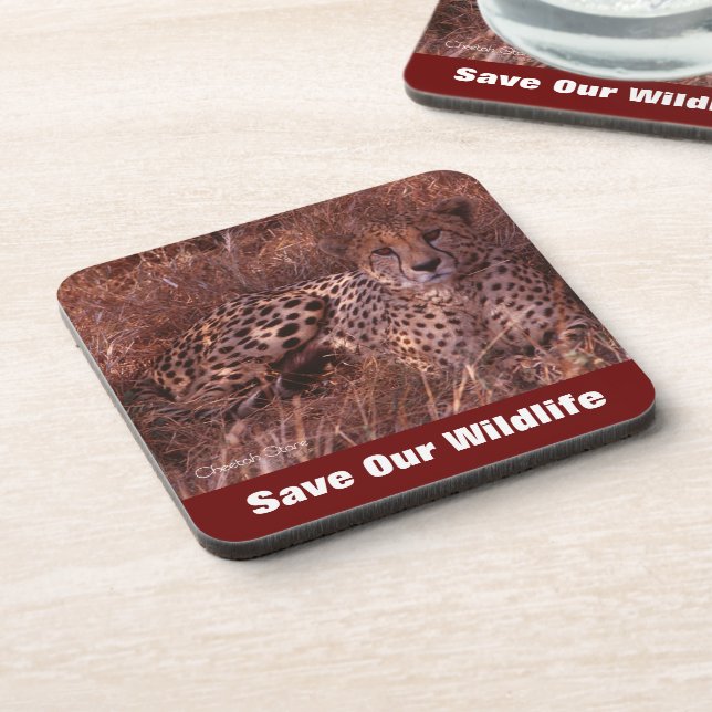 Cheetah Stare Save Our Wildlife Beverage Coaster (Left Side)