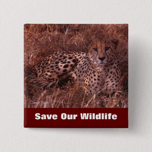 Cheetah Stare Save Our Wildlife Button (Front)