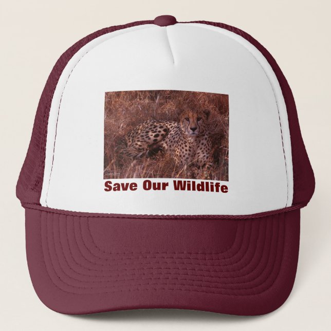 Cheetah Stare Save Our Wildlife Hat (Front)