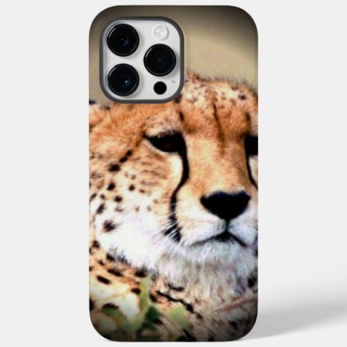 Cheetah Tear Marks Hakunamatata Case_Mate iPhone 14 Pro Max Case