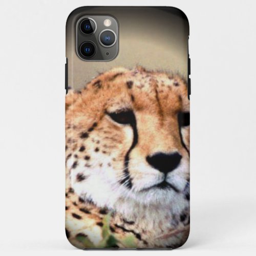 Cheetah Tear Marks Hakunamatata iPhone 11 Pro Max Case