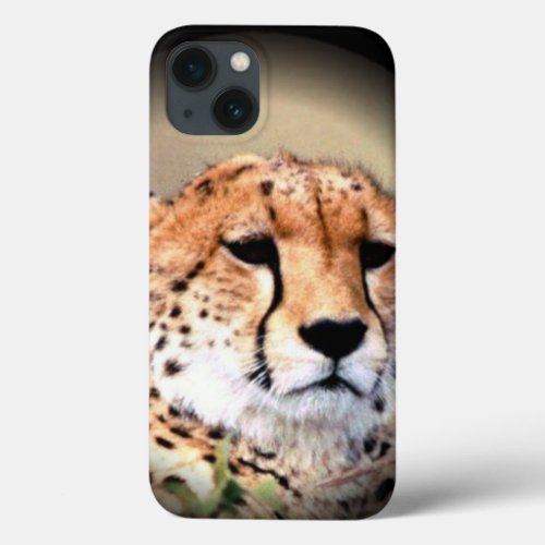 Cheetah Tear Marks Hakunamatata iPhone 13 Case