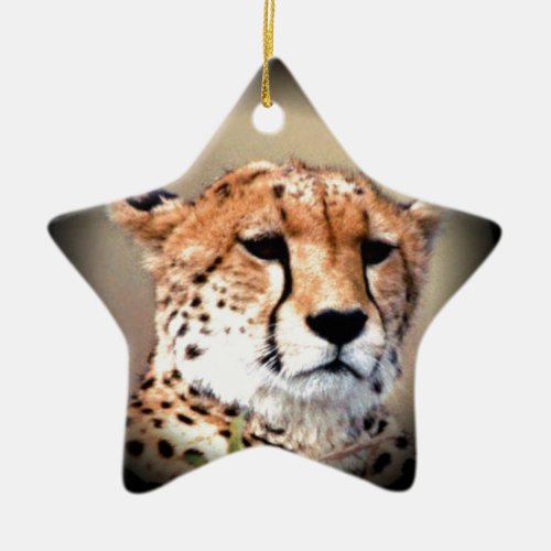 Cheetah Tear Marks Hakunamatata Ceramic Ornament